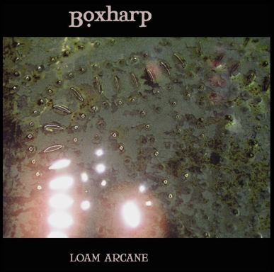 Boxharp - Loam Arcane
